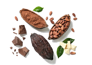 Cacao Mix